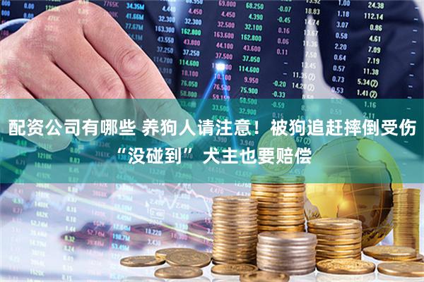 配资公司有哪些 养狗人请注意！被狗追赶摔倒受伤“没碰到” 犬主也要赔偿