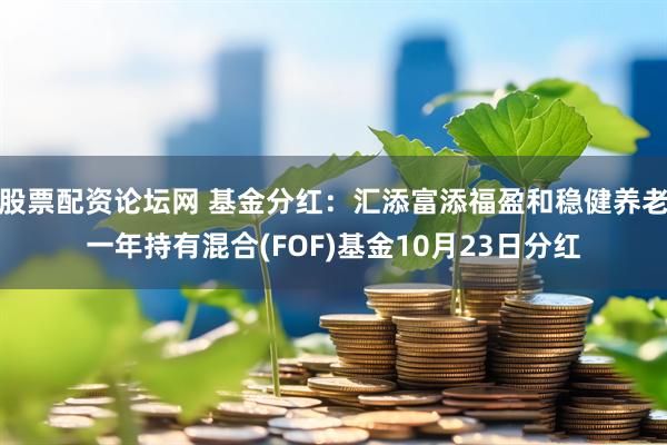 股票配资论坛网 基金分红：汇添富添福盈和稳健养老一年持有混合(FOF)基金10月23日分红